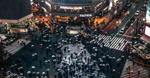 2024年8月13日精选145个喜用神为土的女孩名字吉利大方